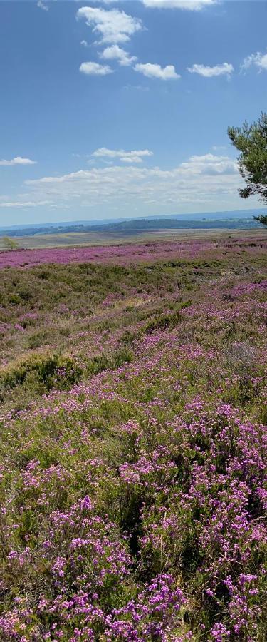 Floyter House North Yorkshire Moors National Park * Danby