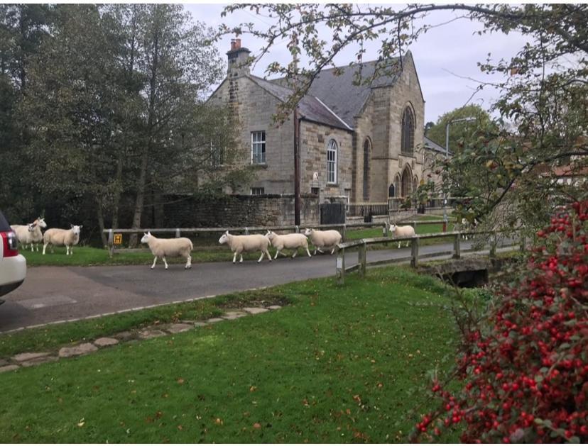 Floyter House North Yorkshire Moors National Park Danby